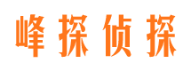 沿河市私家侦探